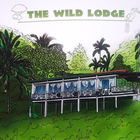 كُوالا تاهان Wild Lodge Taman Negara المظهر الخارجي الصورة