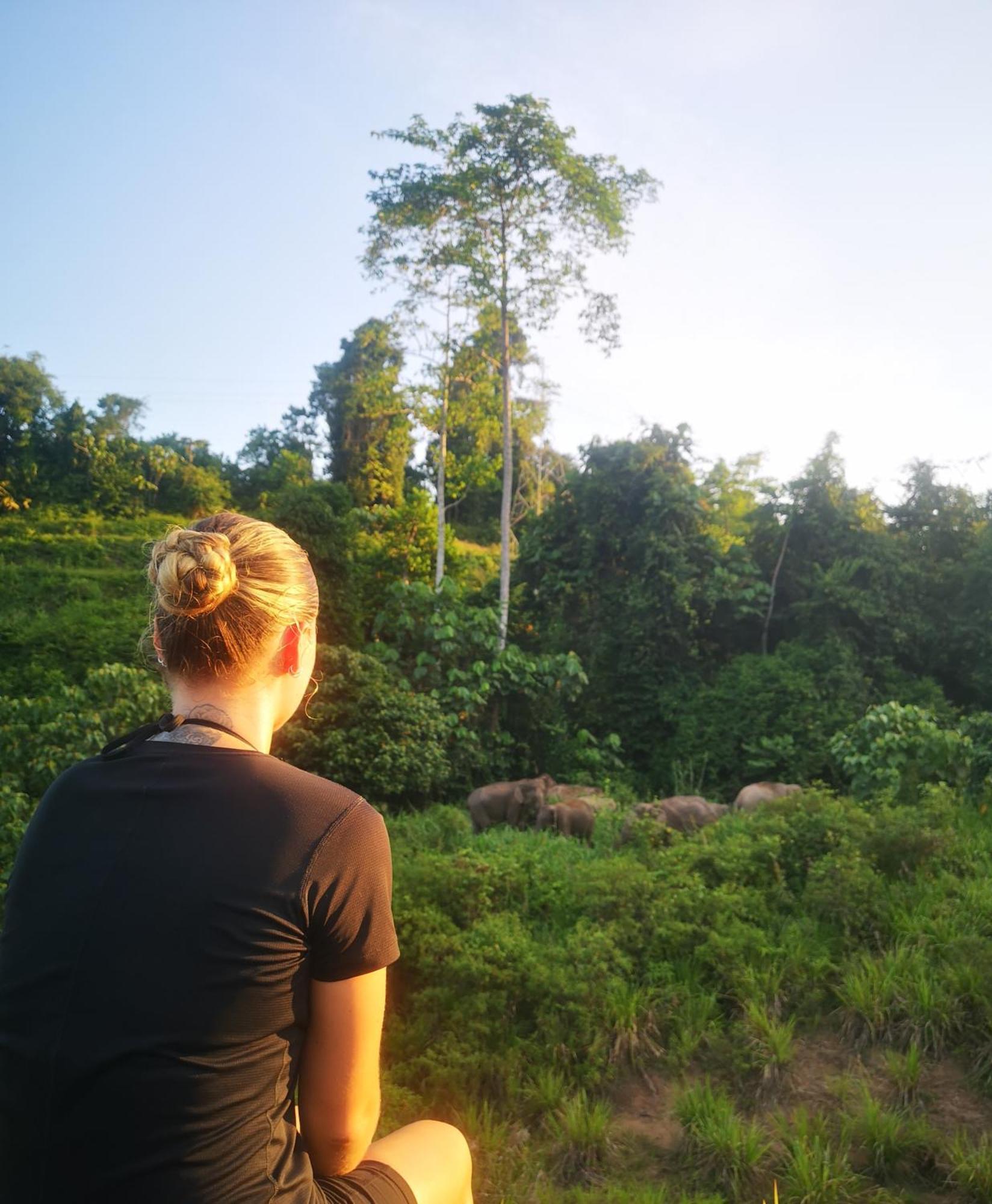 كُوالا تاهان Wild Lodge Taman Negara المظهر الخارجي الصورة